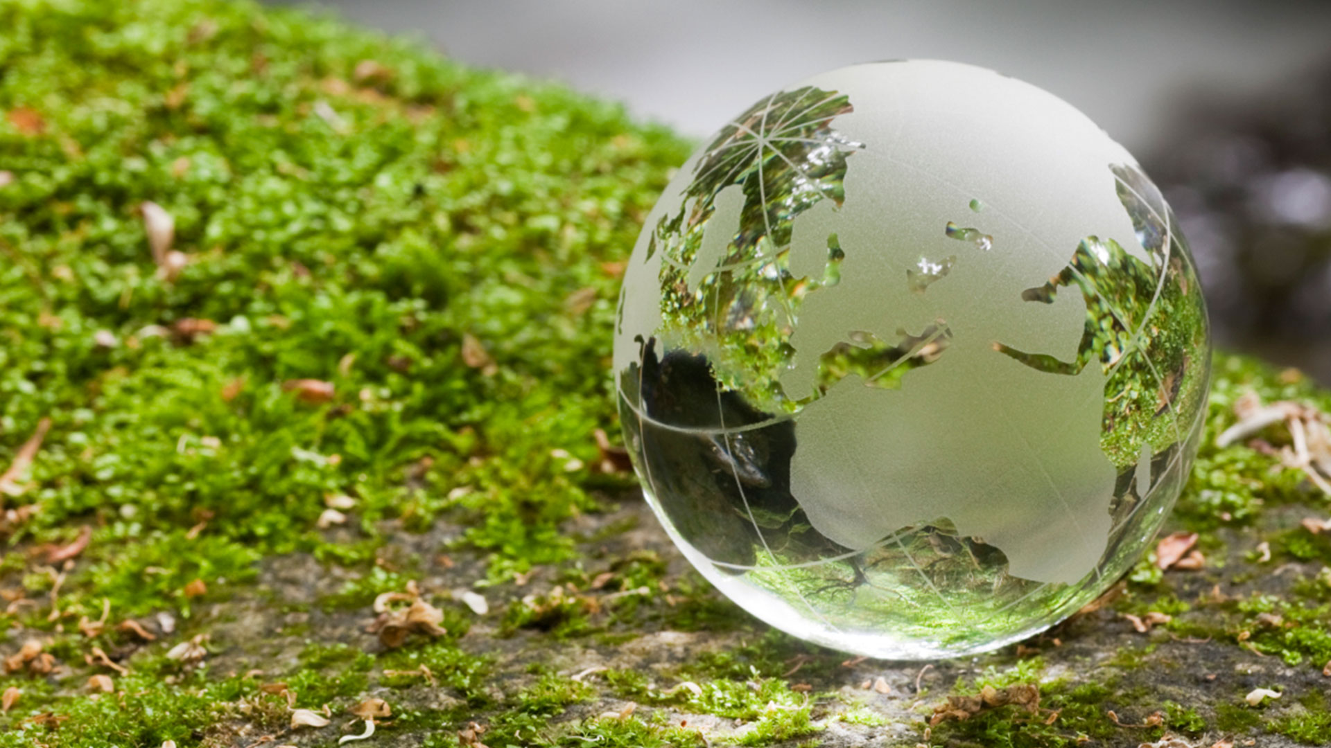 small globe on green moss